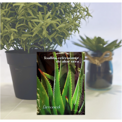 Estuche de 100 toallitas de aloe vera- ¡Envío en 24 h!
