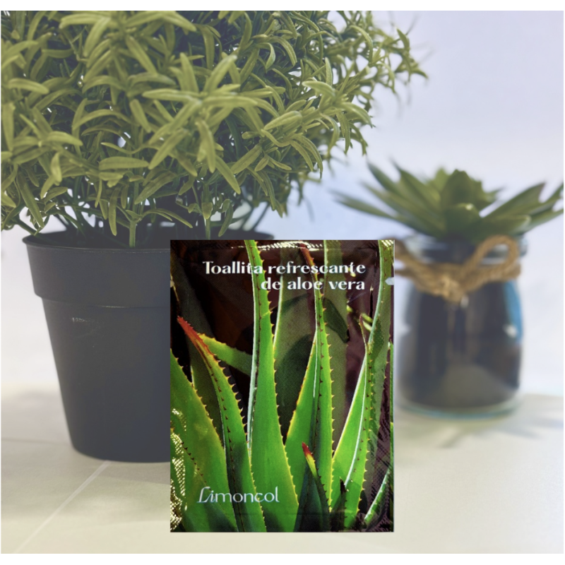 Estuche de 100 toallitas de aloe vera- ¡Envío en 24 h! Estuche de 100 toallitas de aloe vera- ¡Envío en 24 h!